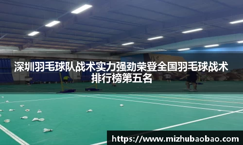 深圳羽毛球队战术实力强劲荣登全国羽毛球战术排行榜第五名