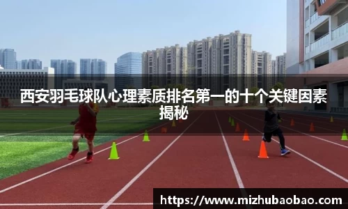 西安羽毛球队心理素质排名第一的十个关键因素揭秘